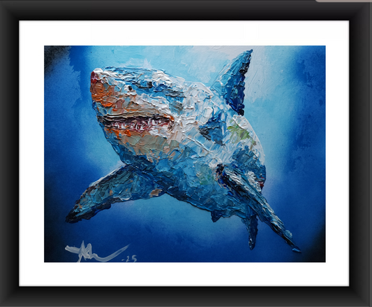 Shark 11×14 inch