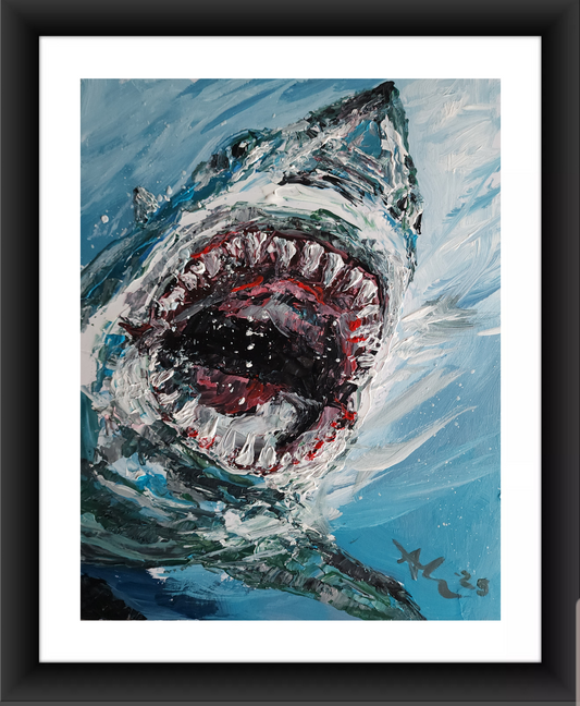 Shark 11×14 inch