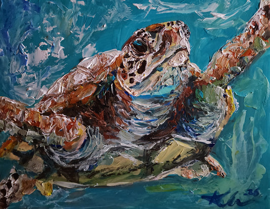 Sea Turtle 11×14 inch