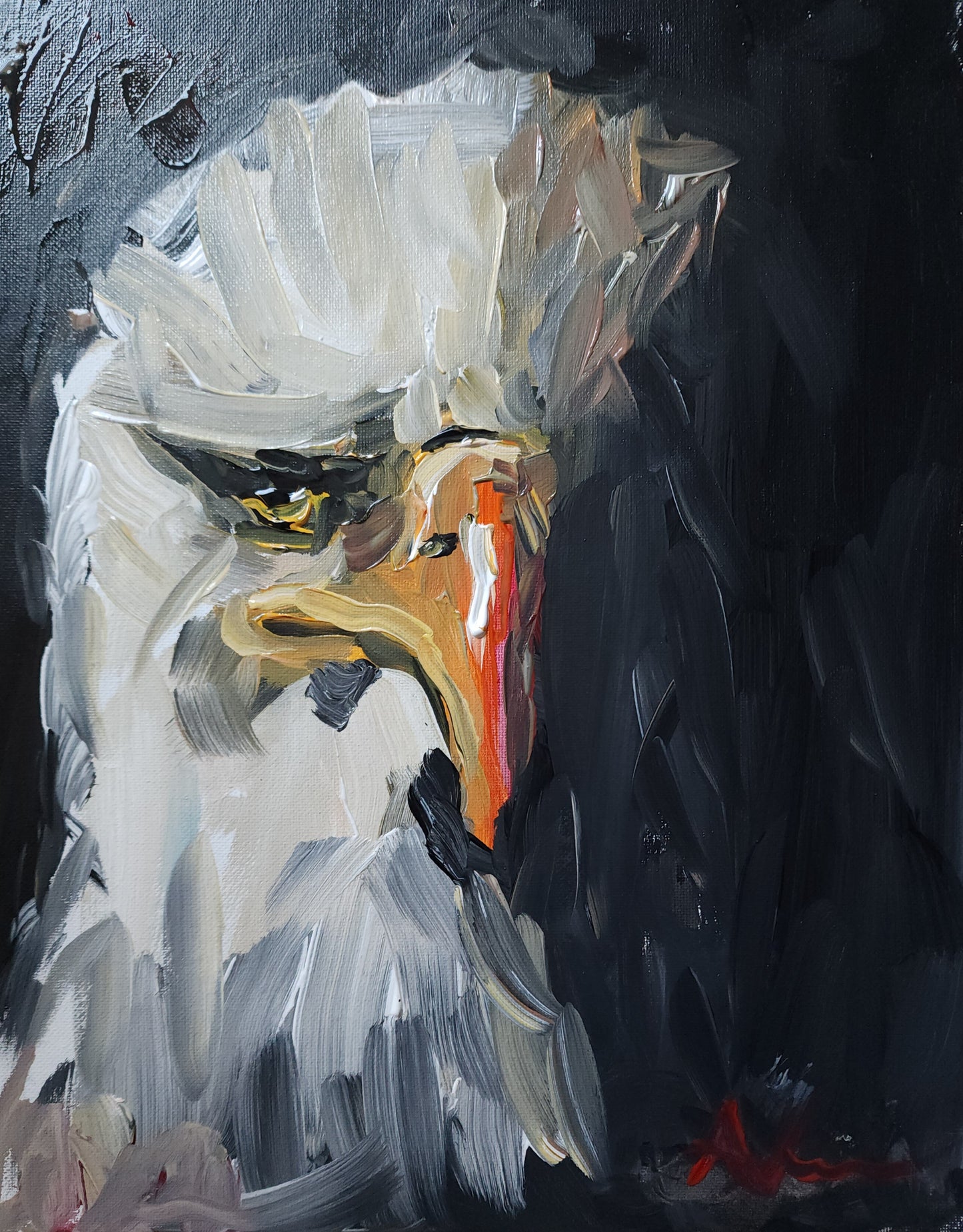 Eagle 11x14 inch CANVAS
