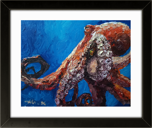 Octopus 11×14 inch