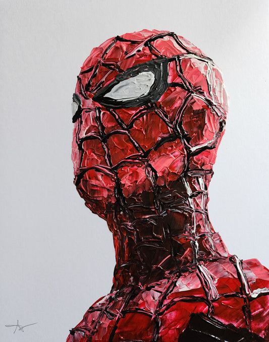 Spiderman 11x14