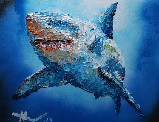 Shark 11×14 inch