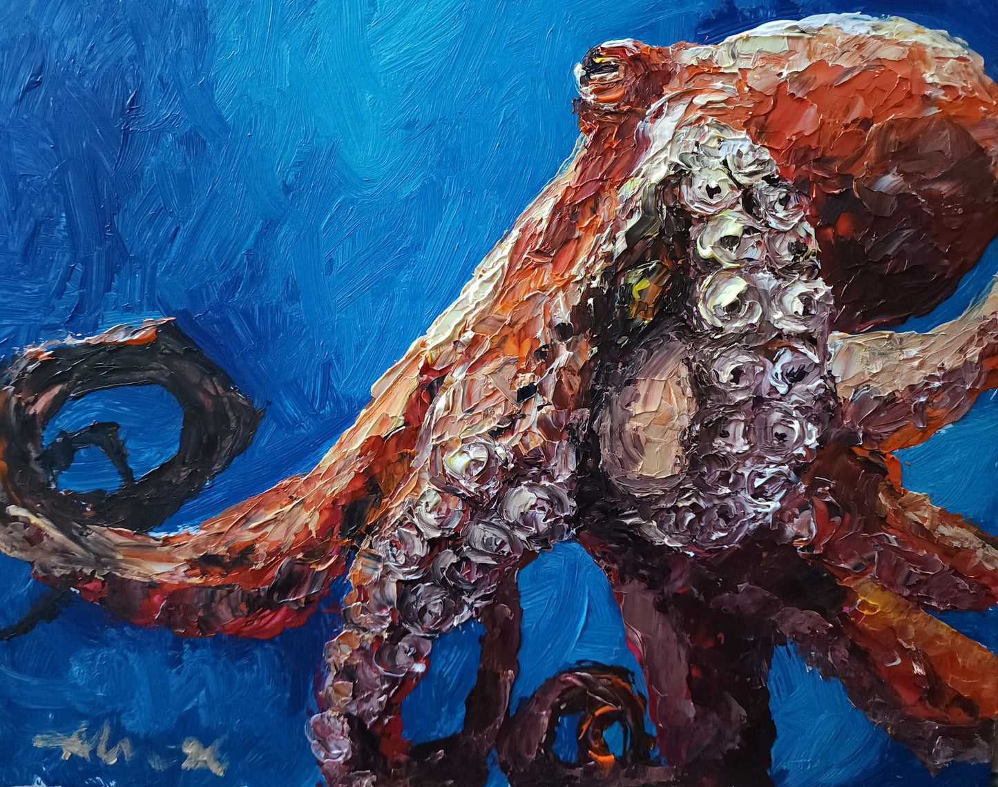 Octopus 11×14 inch