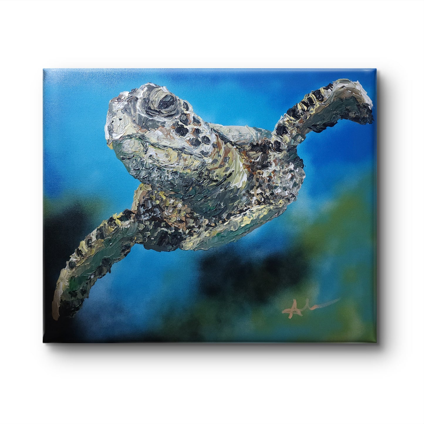 Sea Turtle 18x24 inch CANVAS